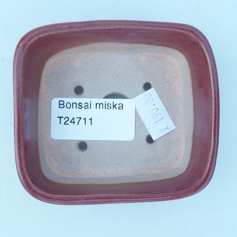 Bol à bonsaï en céramique 8 x 7 x 3 cm, rose