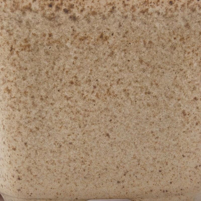 Bol à bonsaï en céramique 8 x 7 x 4 cm, couleur beige