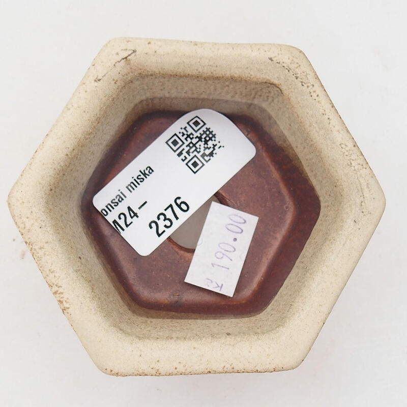 Bol à bonsaï en céramique 8 x 7 x 4 cm, couleur beige