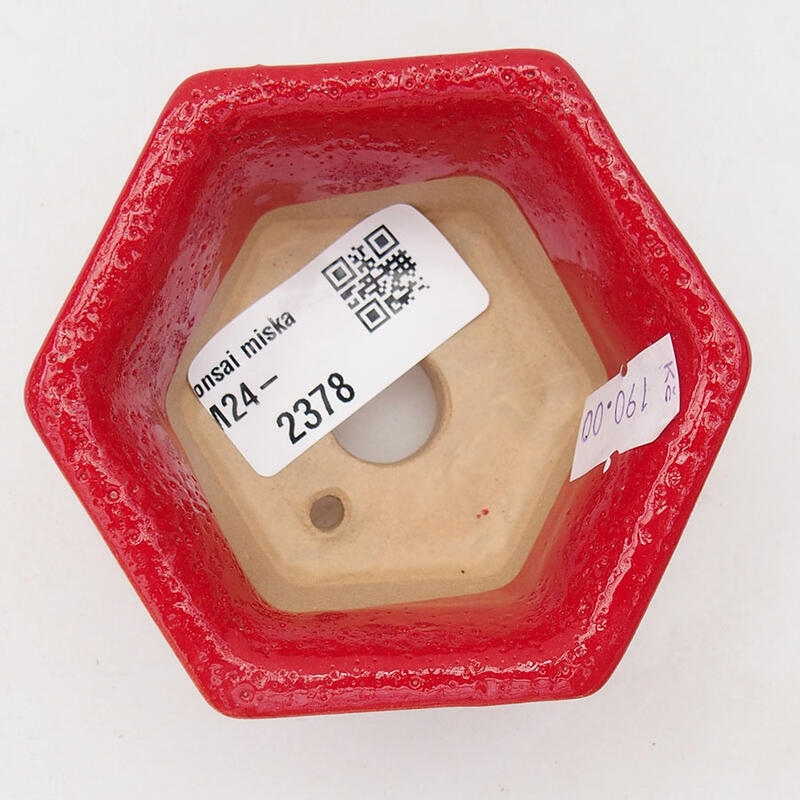 Bol à bonsaï en céramique 8 x 7 x 4 cm, couleur rouge