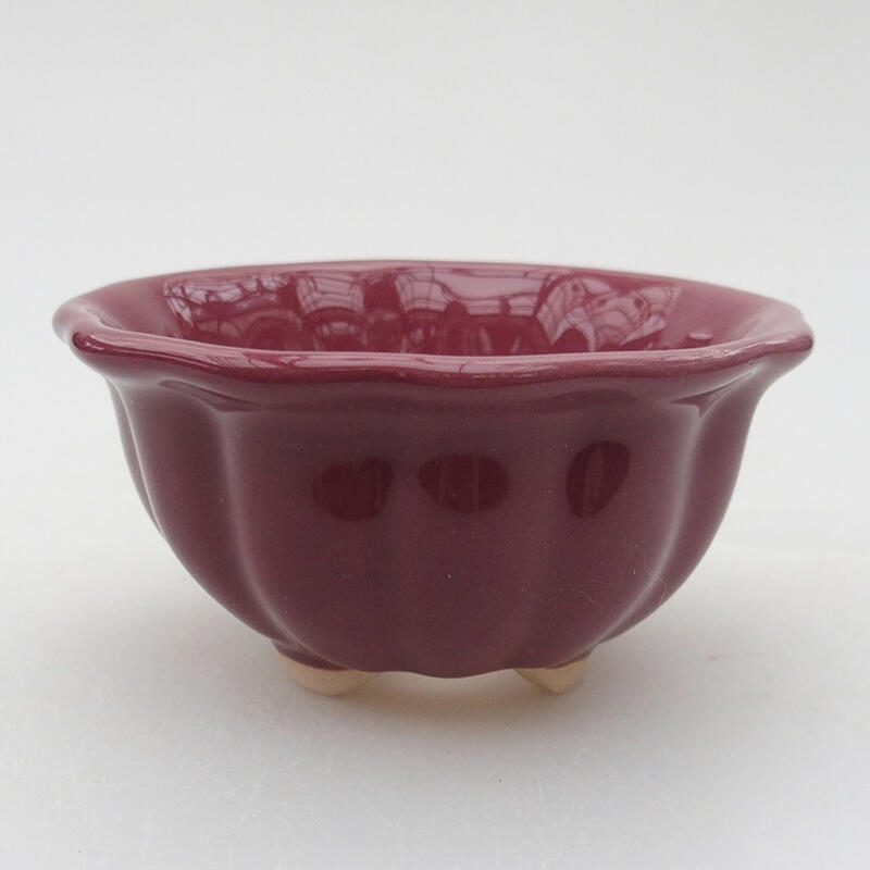 Bol à bonsaï en céramique 8 x 8 x 4 cm, couleur violet