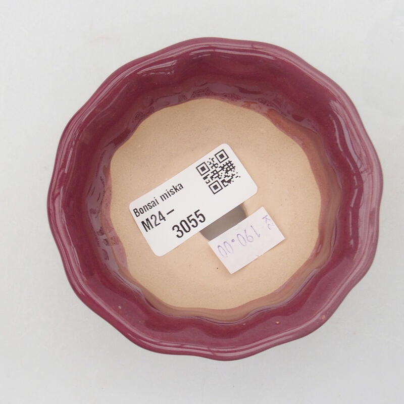 Bol à bonsaï en céramique 8 x 8 x 4 cm, couleur violet
