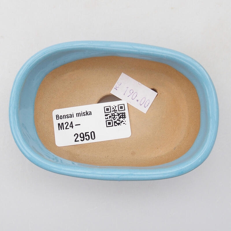Bol à bonsaï en céramique 9,5 x 6 x 2,5 cm, couleur bleu