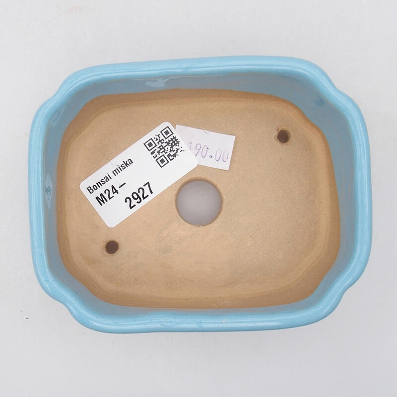 Bol à bonsaï en céramique 9,5 x 7,5 x 3,5 cm, couleur bleu