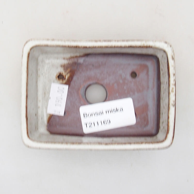 Bol à bonsaï en céramique 9,5 x 7 x 2,5 cm, couleur beige