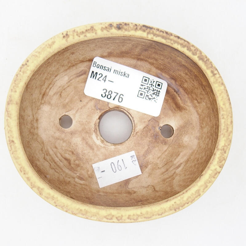 Bol à bonsaï en céramique 9,5 x 8,5 x 3,5 cm, vert