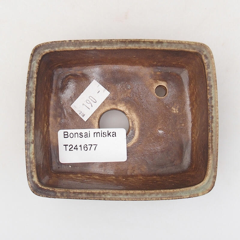 Bol à bonsaï en céramique 9,5 x 8 x 3,5 cm, brun