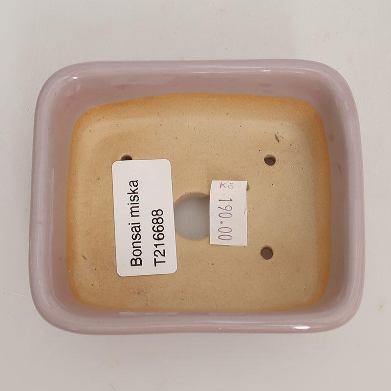 Bol à bonsaï en céramique 9,5 x 8 x 3 cm, rose