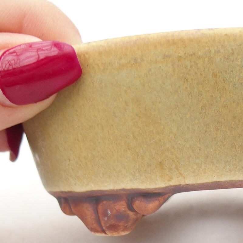 Bol à bonsaï en céramique 9,5 x 8 x 4 cm, vert