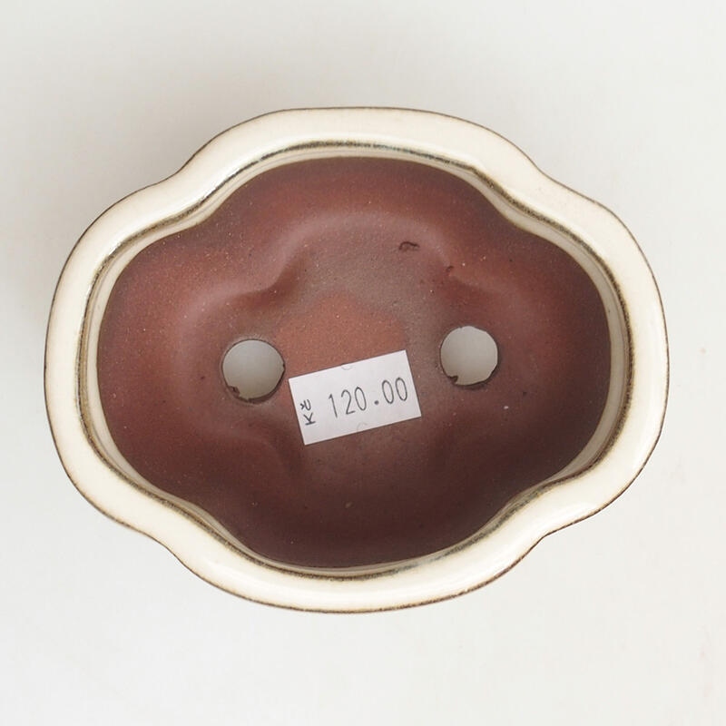 Bol à bonsaï en céramique 9,5 x 8 x 5 cm, couleur beige