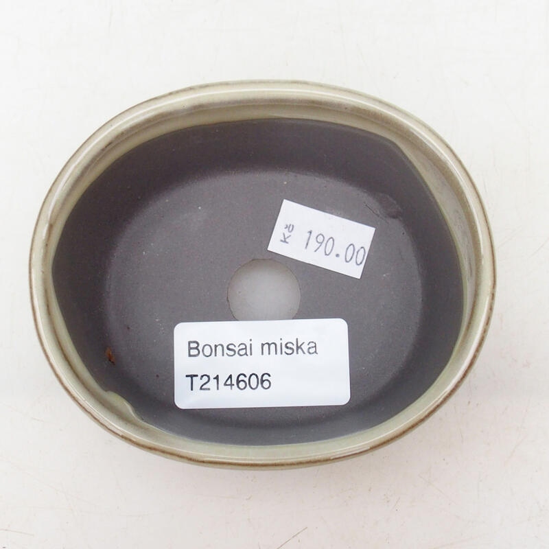 Bol à bonsaï en céramique 9 x 7,5 x 4 cm, couleur beige