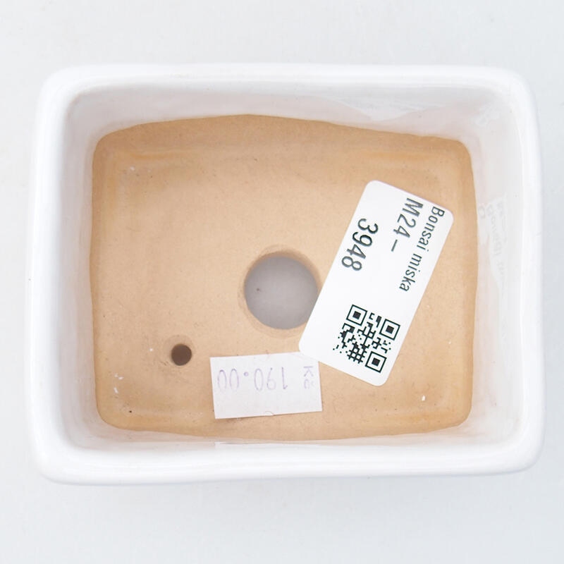 Bol à bonsaï en céramique 9 x 7 x 4,5 cm, couleur blanc