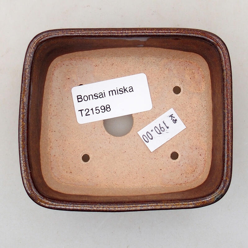 Bol à bonsaï en céramique 9 x 8 x 3 cm, brun