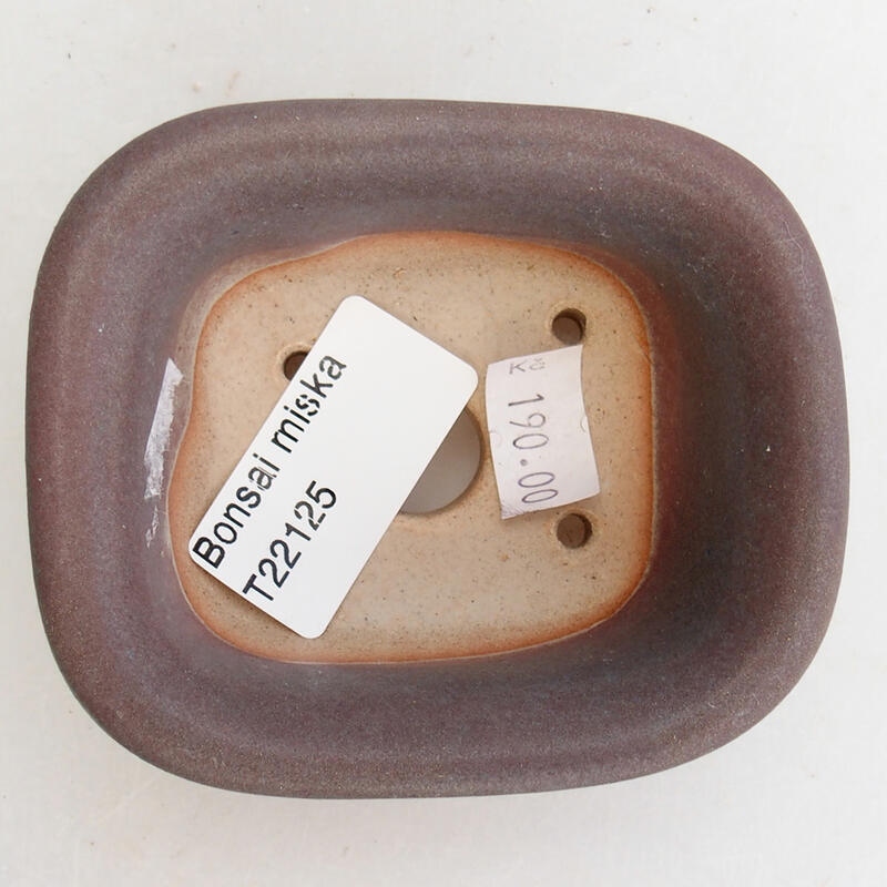 Bol à bonsaï en céramique 9 x 8 x 4 cm, couleur violet