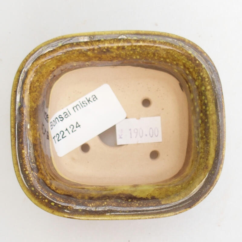 Bol à bonsaï en céramique 9 x 8 x 4 cm, vert
