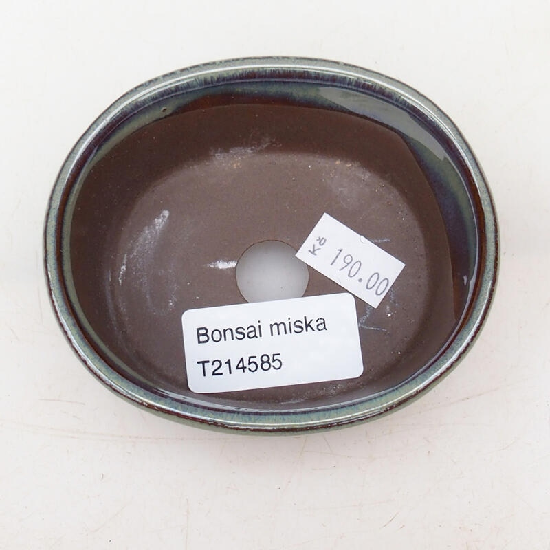 Bol à bonsaï en céramique 9 x 8 x 4 cm, vert