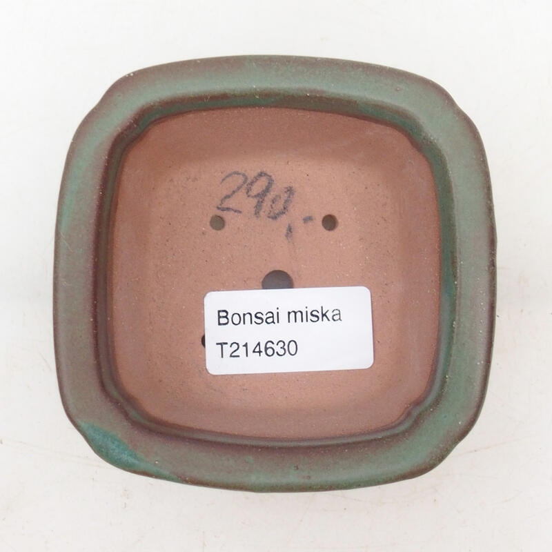 Bol à bonsaï en céramique 9 x 9 x 4 cm, vert