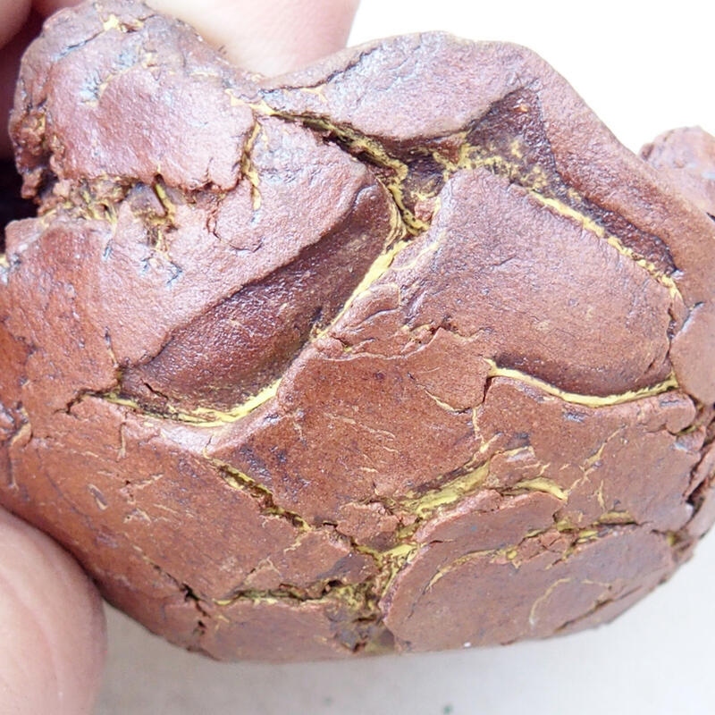 Coquille en céramique 4,5 x 4,5 x 4 cm , couleur noire