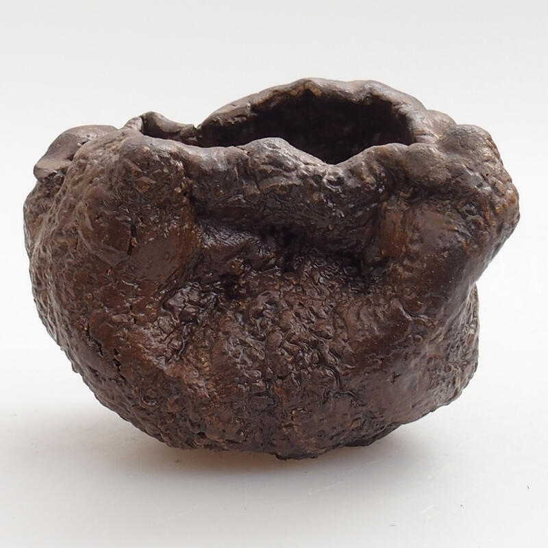 Coquille en céramique 5 x 3 x 5 cm , couleur vert-brun