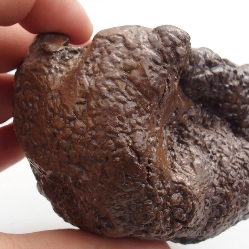 Coquille en céramique 5 x 3 x 5 cm , couleur vert-brun