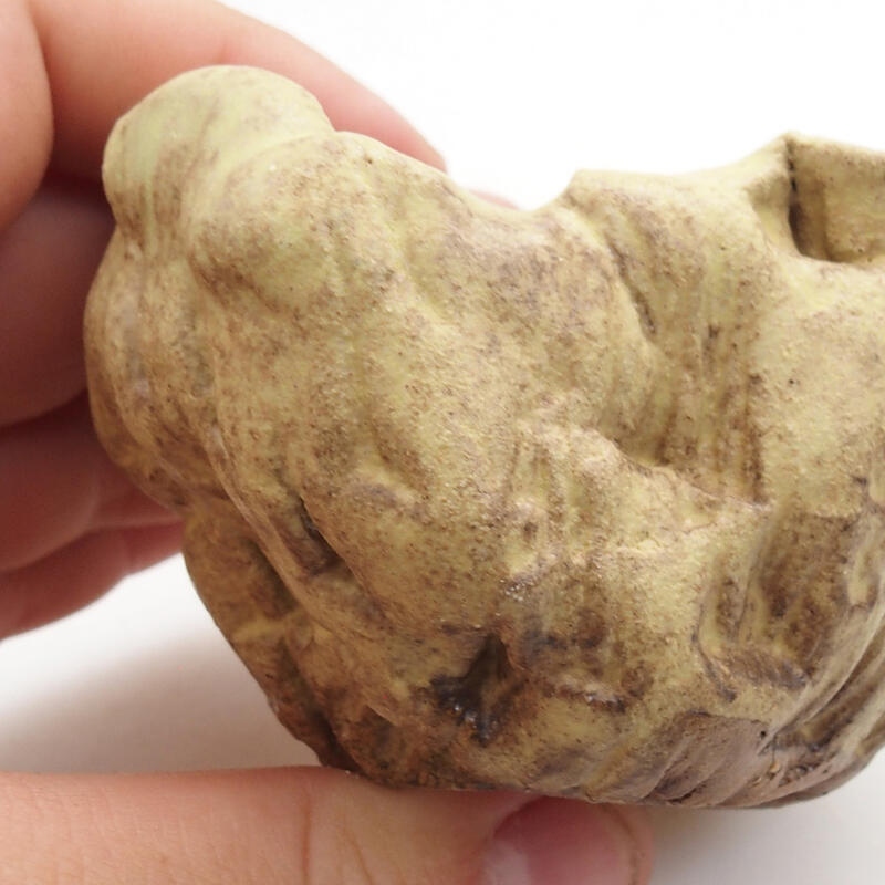 Coquille en céramique 5 x 5 x 5 cm , couleur verte