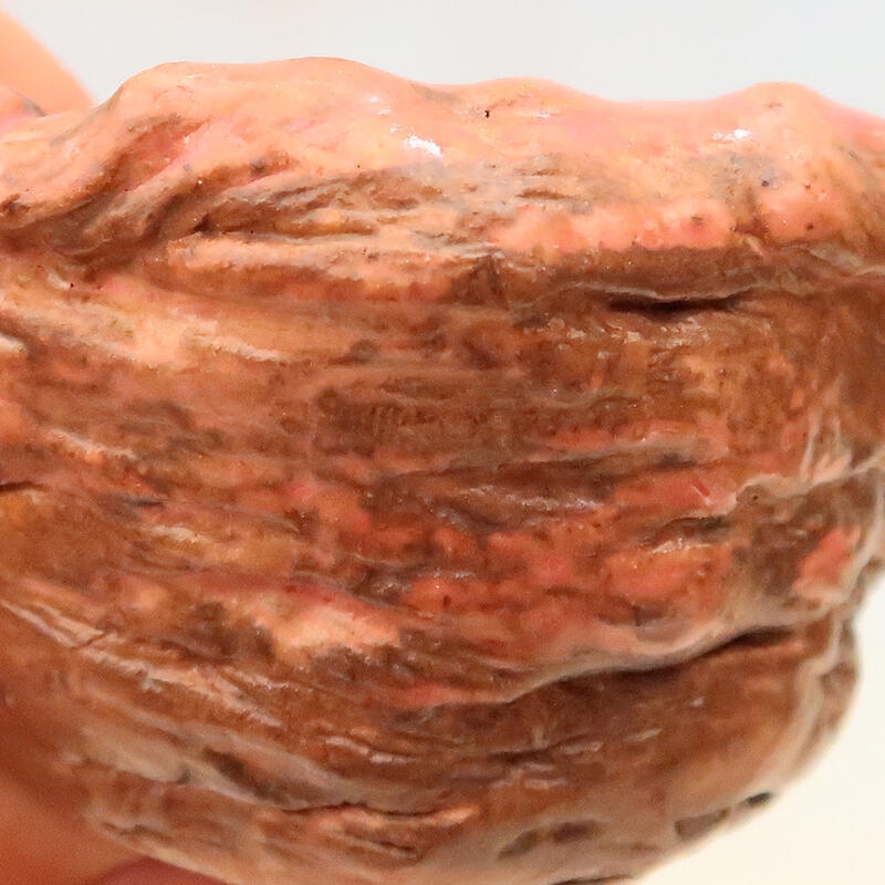 Coquille en céramique 5 x 5 x 6 cm , couleur rose