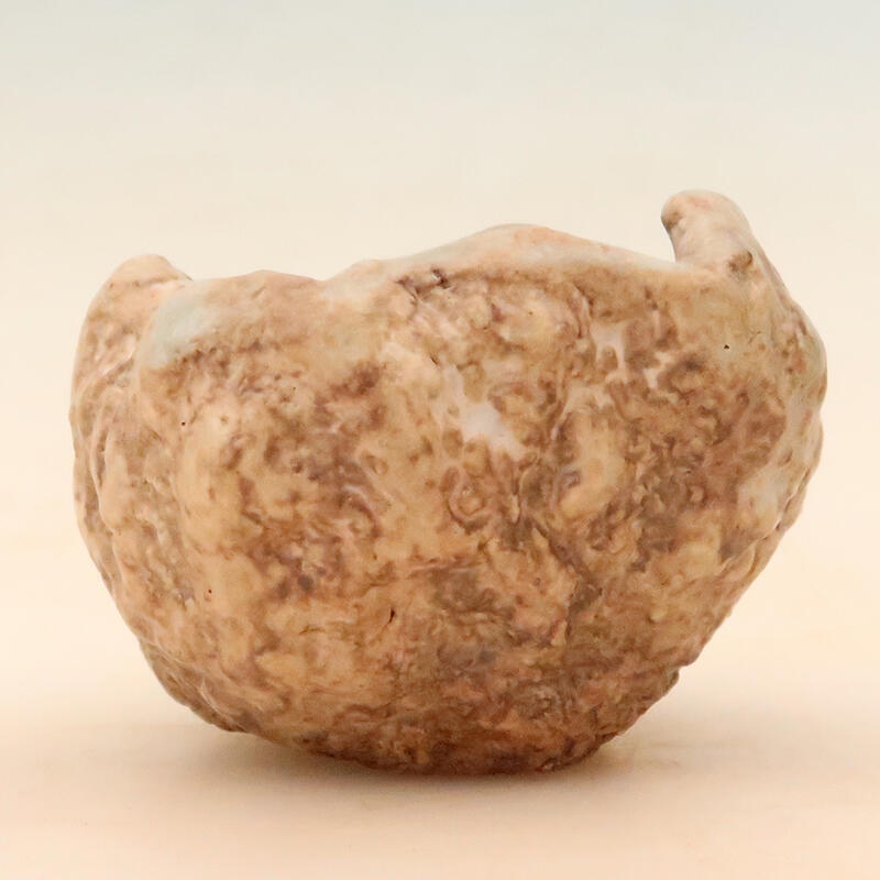 Coquille en céramique 5 x 5 x 8 cm , couleur beige