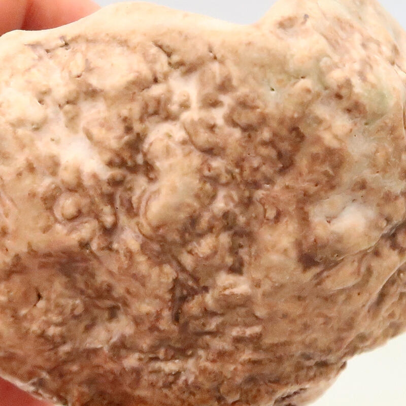 Coquille en céramique 5 x 5 x 8 cm , couleur beige