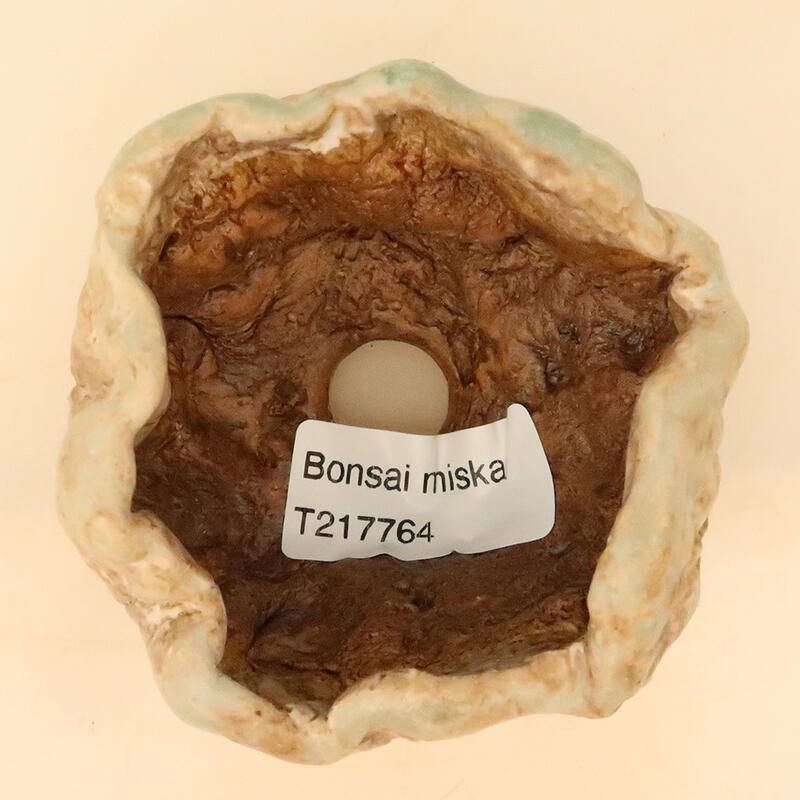 Coquille en céramique 5 x 5 x 8 cm , couleur beige