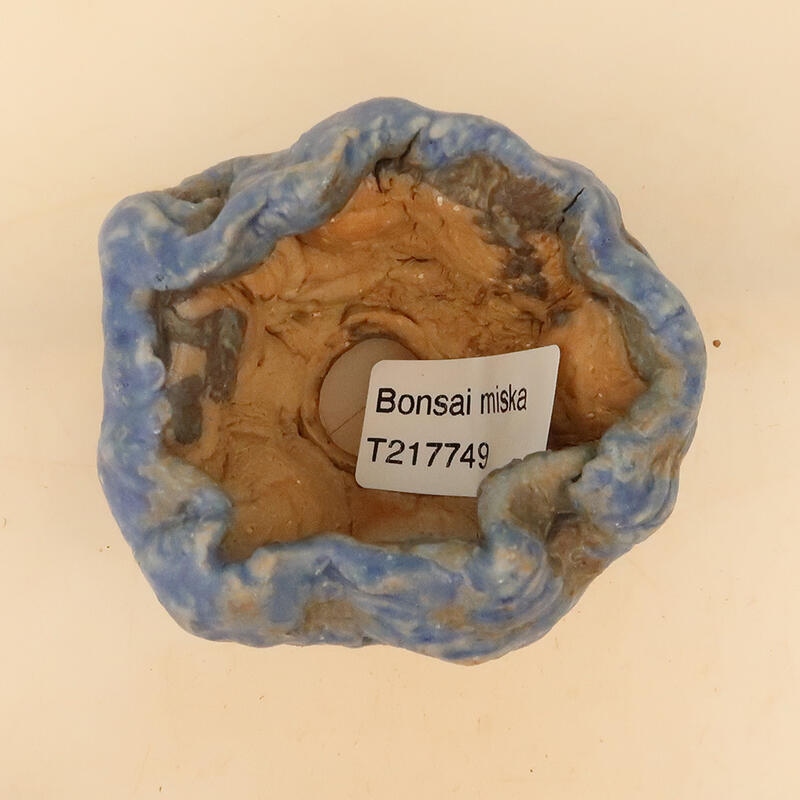 Coquille en céramique 5 x 5 x 8 cm , couleur bleu