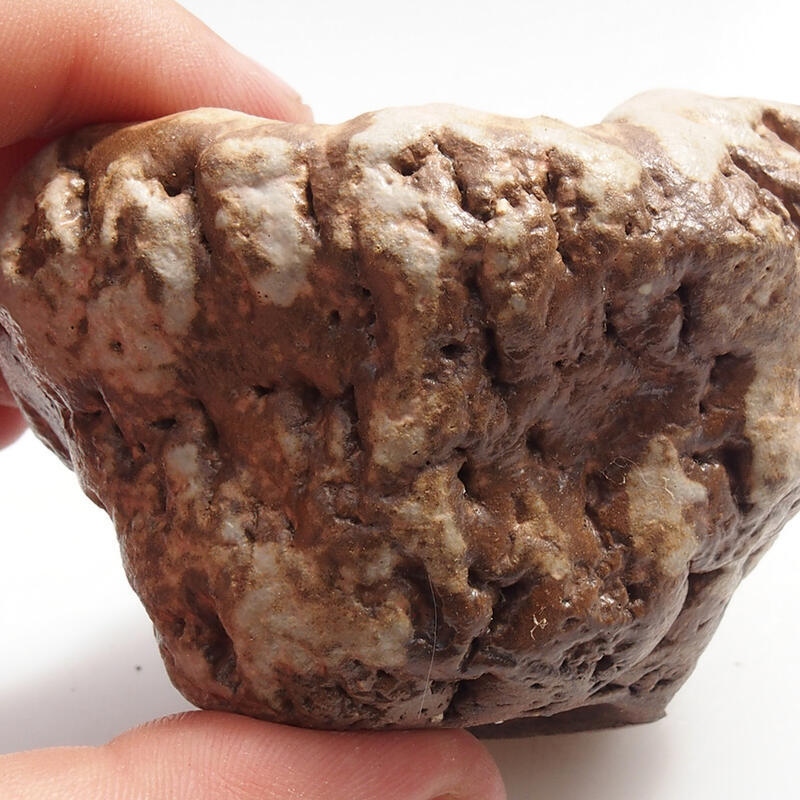 Coquille en céramique 5 x 6 x 6 cm , couleur vert-brun