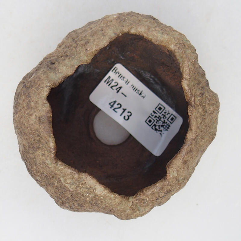 Coquille en céramique 6,5 x 6,5 x 5,5 cm , couleur beige