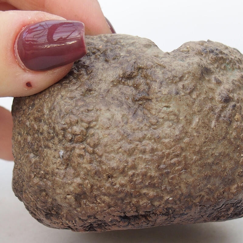 Coquille en céramique 6,5 x 6,5 x 5,5 cm , couleur beige