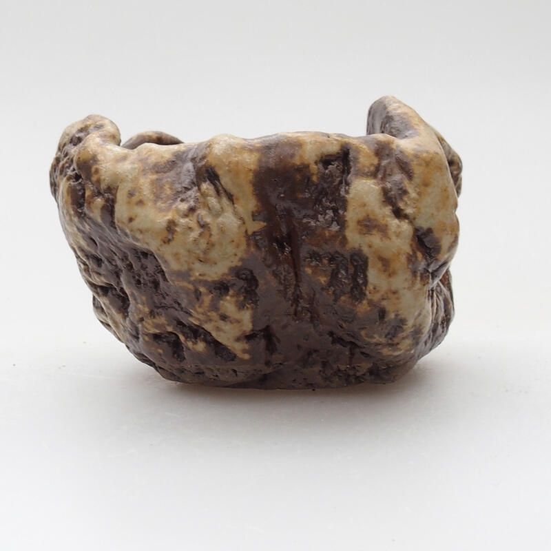 Coquille en céramique 6 x 5 x 4 cm , couleur blanc-brun