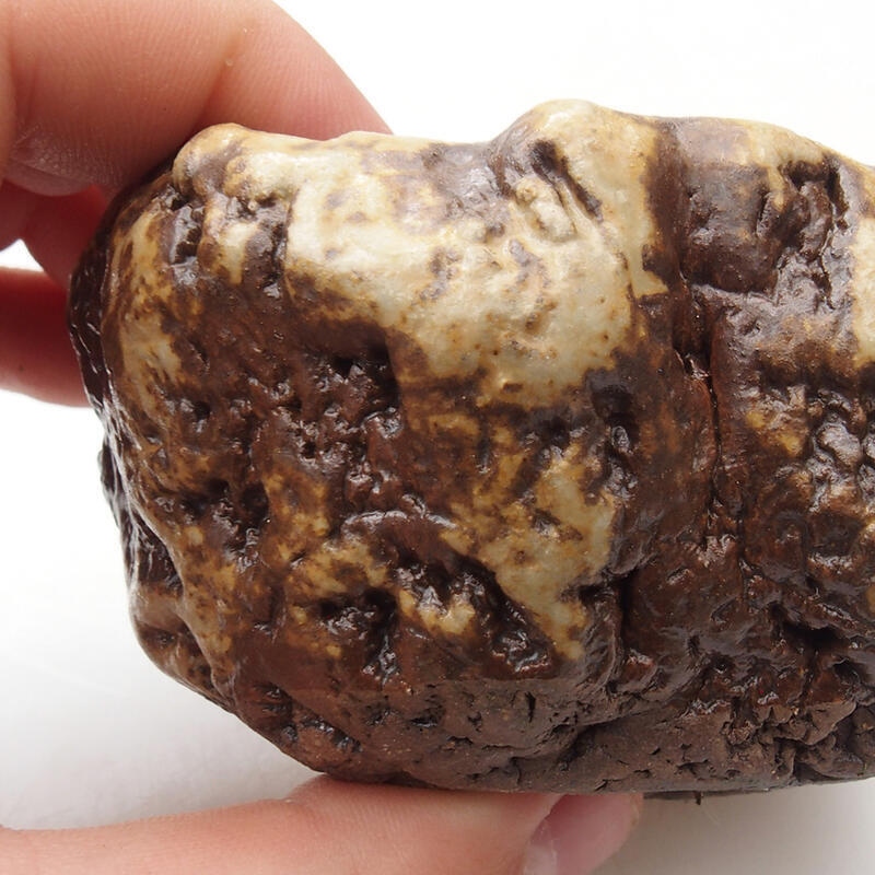 Coquille en céramique 6 x 5 x 4 cm , couleur blanc-brun