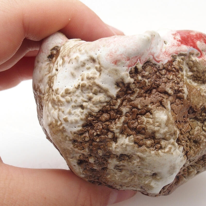 Coquille en céramique 6 x 5 x 6 cm , couleur rouge et blanc