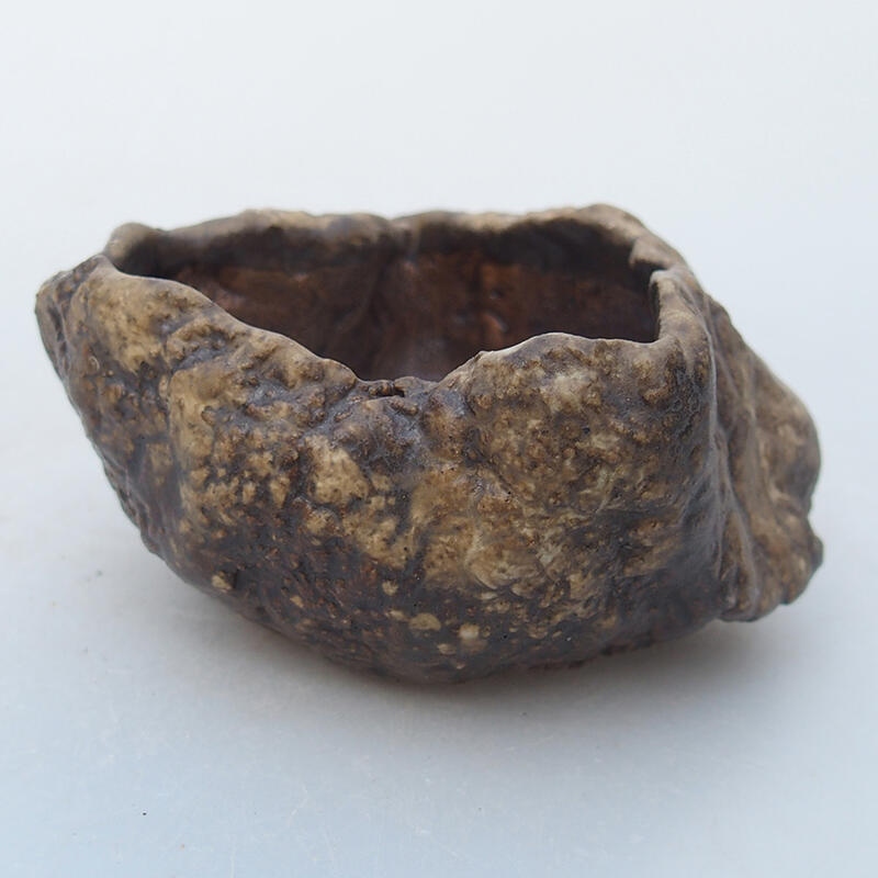 Coquille en céramique 6 x 6 x 4,5 cm , couleur beige