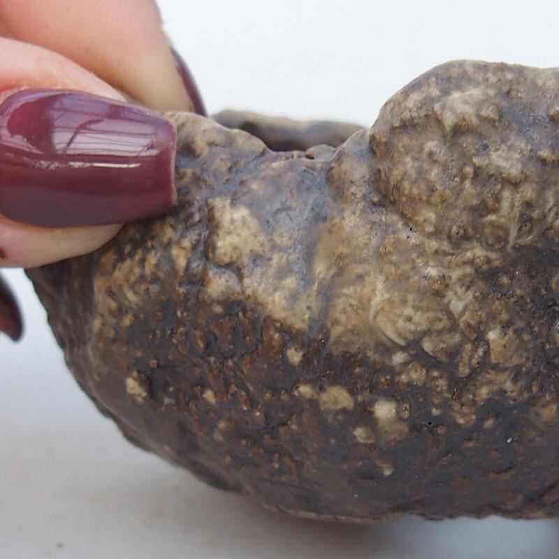 Coquille en céramique 6 x 6 x 4,5 cm , couleur beige