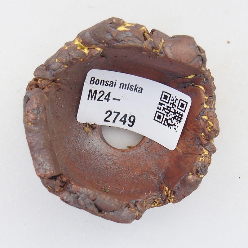 Coquille en céramique 6 x 6 x 4 cm , jaune