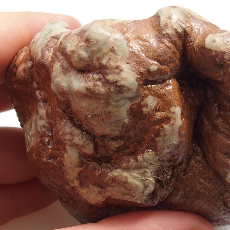 Coquille en céramique 6 x 6 x 5 cm , couleur vert-brun