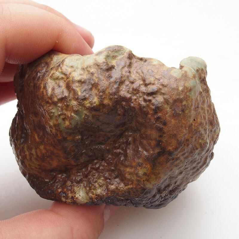 Coquille en céramique 6 x 6 x 5 cm , couleur vert-brun