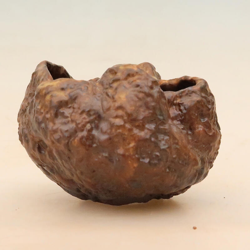 Coquille en céramique 6 x 6 x 8 cm , couleur marron