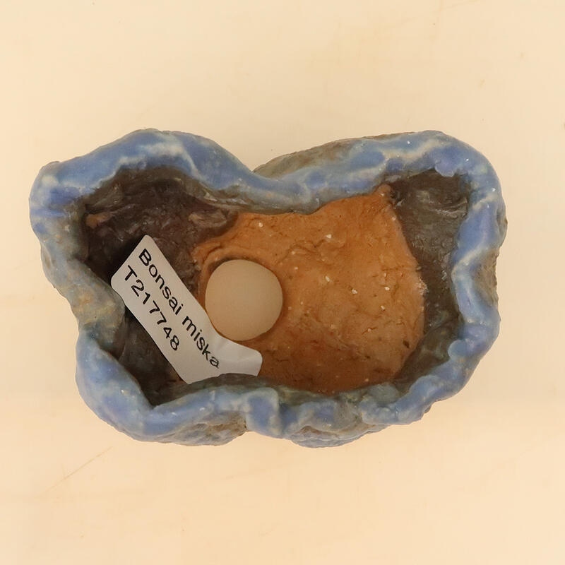 Coquille en céramique 6 x 6 x 9 cm , couleur bleu