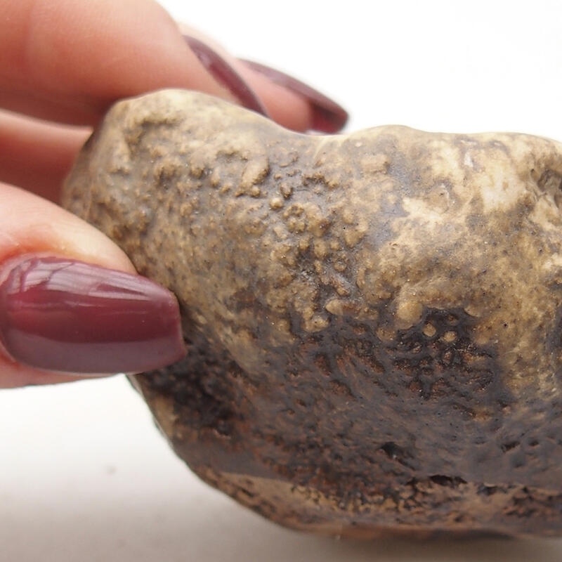 Coquille en céramique 7,5 x 6,5 x 4,5 cm , couleur marron