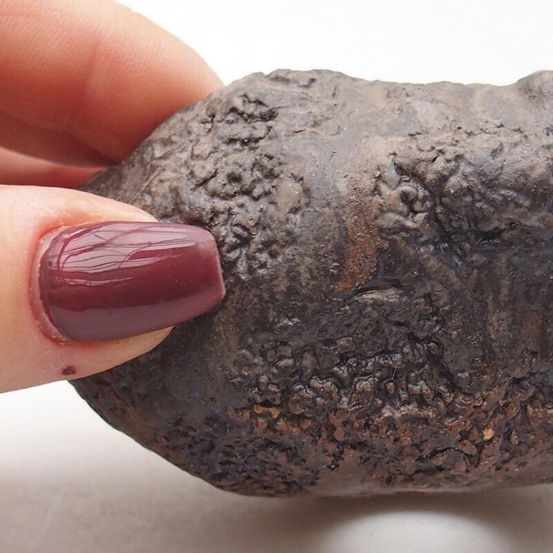 Coquille en céramique 7,5 x 6,5 x 5,5 cm , couleur marron