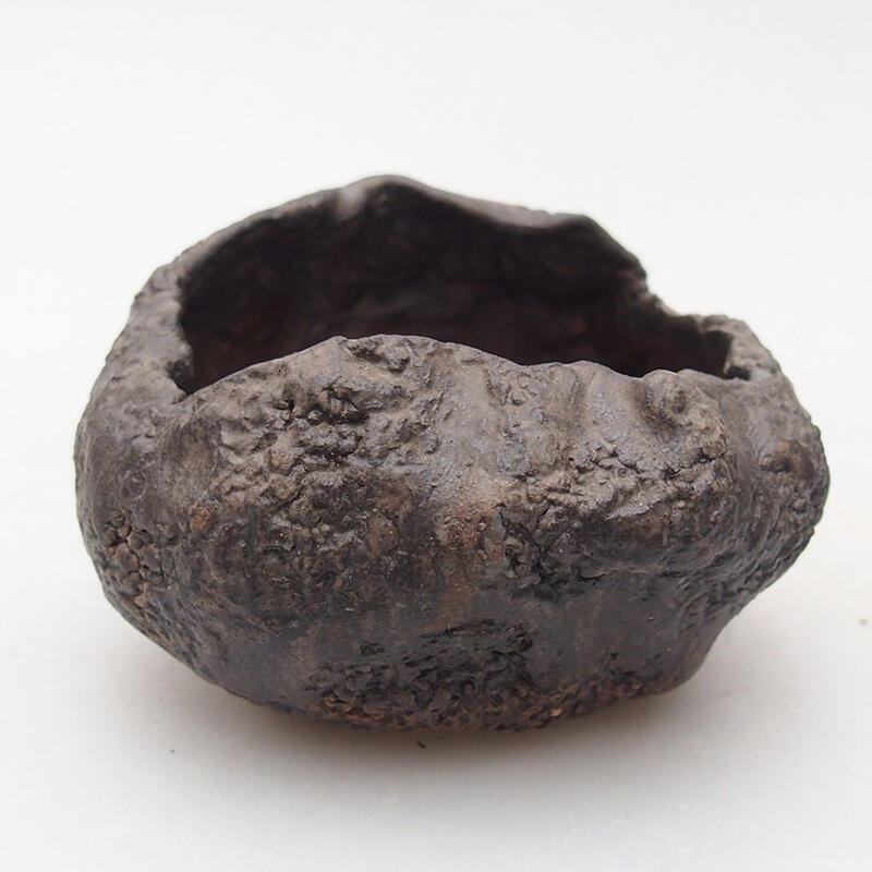 Coquille en céramique 7,5 x 6,5 x 5,5 cm , couleur marron