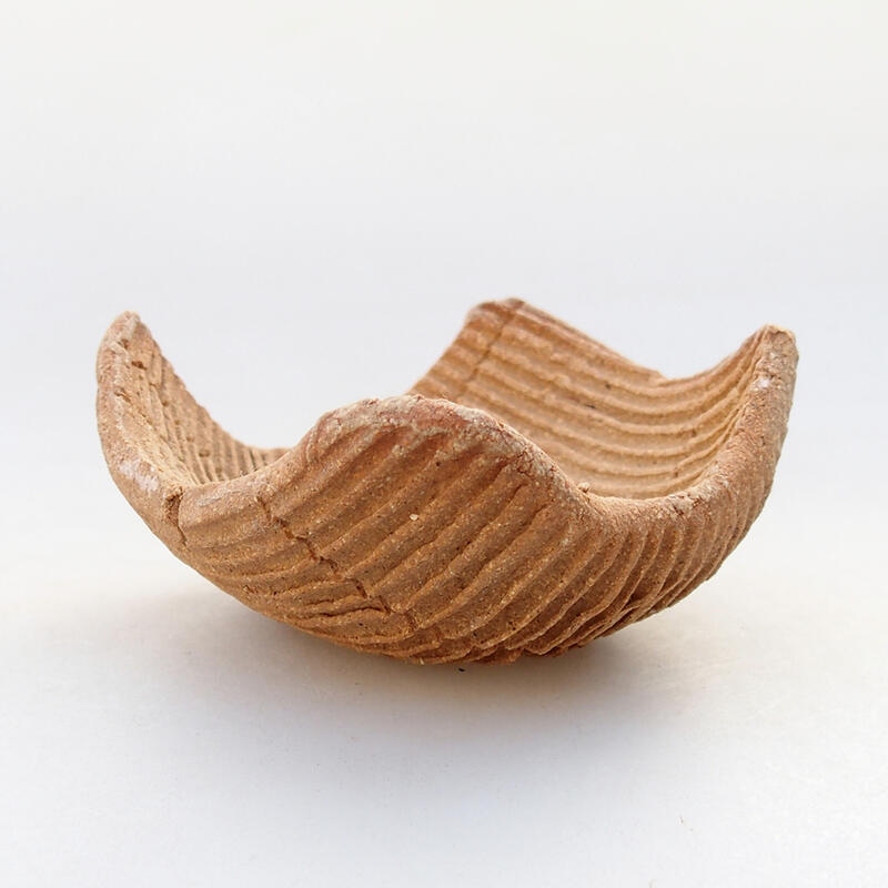 Coquille en céramique 7,5 x 7,5 x 4 cm , couleur noire