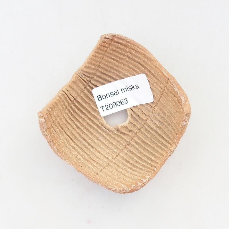 Coquille en céramique 7,5 x 7,5 x 4 cm , couleur noire