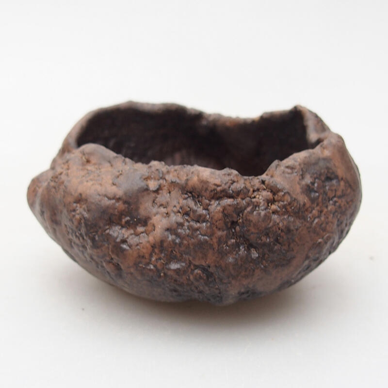 Coquille en céramique 7,5 x 7 x 4,5 cm , couleur marron