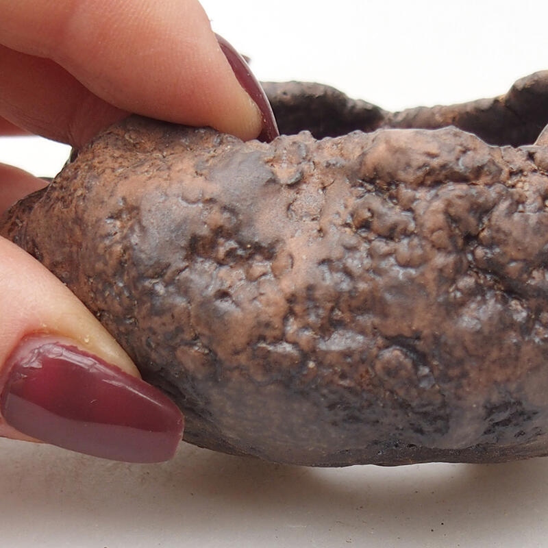 Coquille en céramique 7,5 x 7 x 4,5 cm , couleur marron